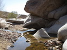 photo thumbnail #12