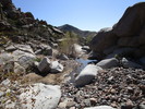 photo thumbnail #13