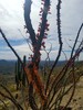 photo thumbnail #14