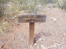 photo thumbnail #15