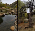 photo thumbnail #8
