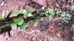 photo thumbnail #15