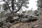 photo thumbnail #14
