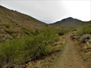 photo thumbnail #3