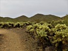 photo thumbnail #7
