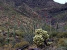 photo thumbnail #4