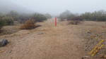 photo thumbnail #12