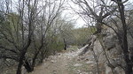 photo thumbnail #10
