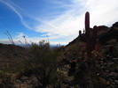 photo thumbnail #4