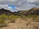 photo thumbnail #15