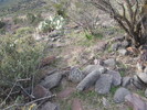 photo thumbnail #1
