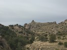 photo thumbnail #1