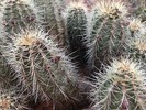 photo thumbnail #5