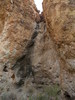 photo thumbnail #3