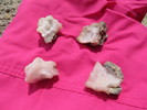photo thumbnail #14