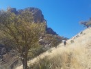 photo thumbnail #8