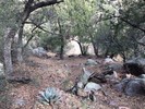 photo thumbnail #7