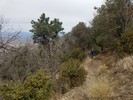 photo thumbnail #4