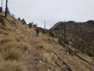 photo thumbnail #10