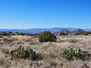 photo thumbnail #2