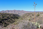 photo thumbnail #4