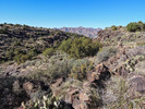 photo thumbnail #5