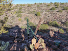 photo thumbnail #9