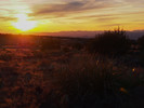 photo thumbnail #14