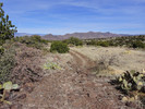 photo thumbnail #2