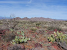 photo thumbnail #8
