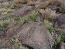 photo thumbnail #3