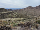 photo thumbnail #8