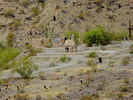 photo thumbnail #4