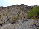 photo thumbnail #5