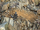 photo thumbnail #7