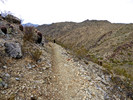 photo thumbnail #11