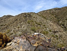 photo thumbnail #13