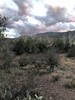 photo thumbnail #11