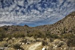 photo thumbnail #4