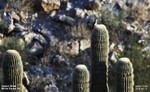 photo thumbnail #11