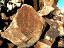 photo thumbnail #14
