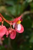 photo thumbnail #15