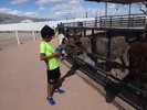 photo thumbnail #5