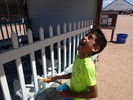 photo thumbnail #11
