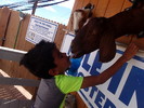 photo thumbnail #9