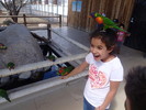 photo thumbnail #12