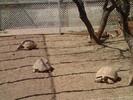 photo thumbnail #14