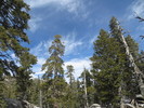 photo thumbnail #5
