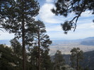 photo thumbnail #12