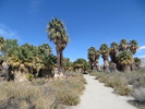 photo thumbnail #2